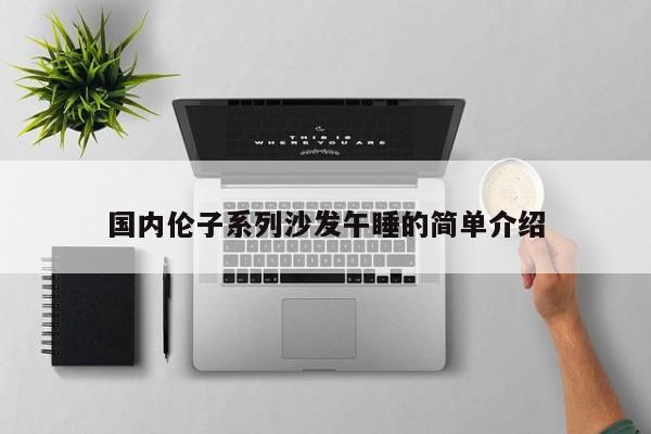 国内伦子系列沙发午睡的简单介绍