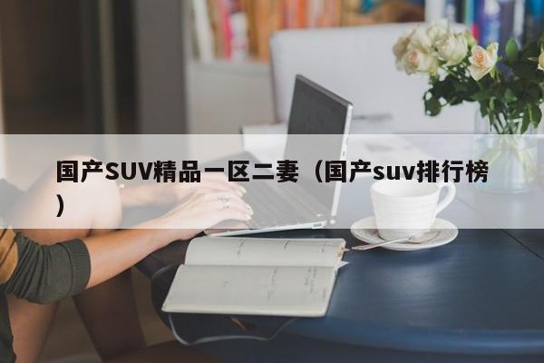 国产SUV精品一区二妻（国产suv排行榜）