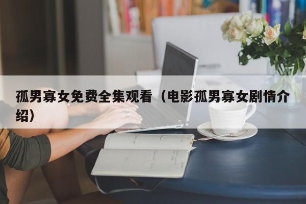 孤男寡女免费全集观看（电影孤男寡女剧情介绍）