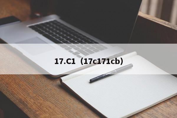 17.C1（17c171cb）