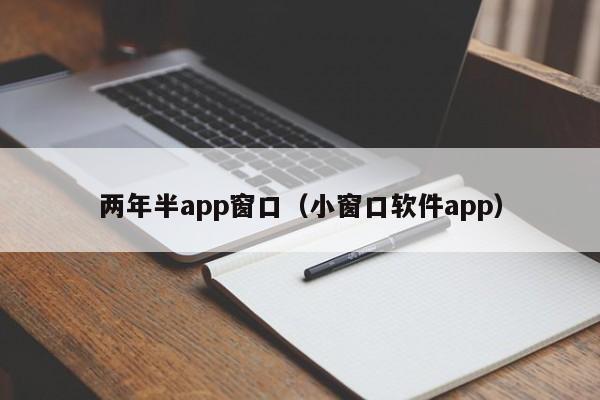 两年半app窗口（小窗口软件app）