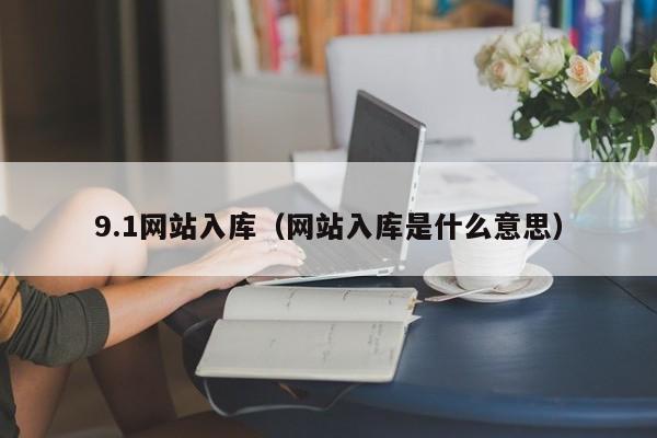 9.1网站入库（网站入库是什么意思）