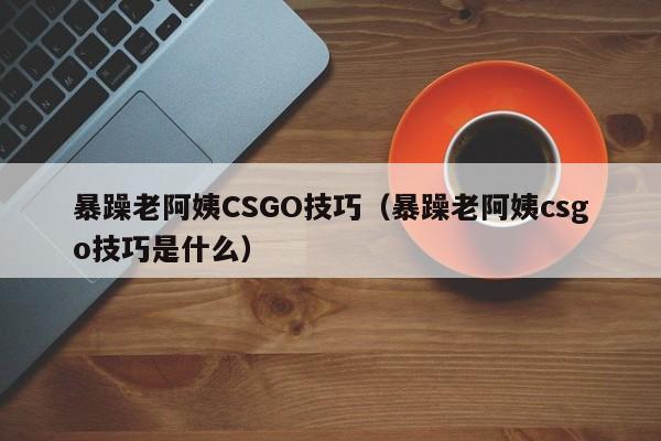 暴躁老阿姨CSGO技巧（暴躁老阿姨csgo技巧是什么）