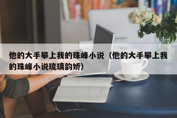 他的大手攀上我的珠峰小说（他的大手攀上我的珠峰小说琉璃韵娇）