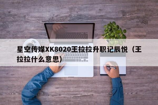 星空传媒XK8020王拉拉升职记辰悦（王拉拉什么意思）