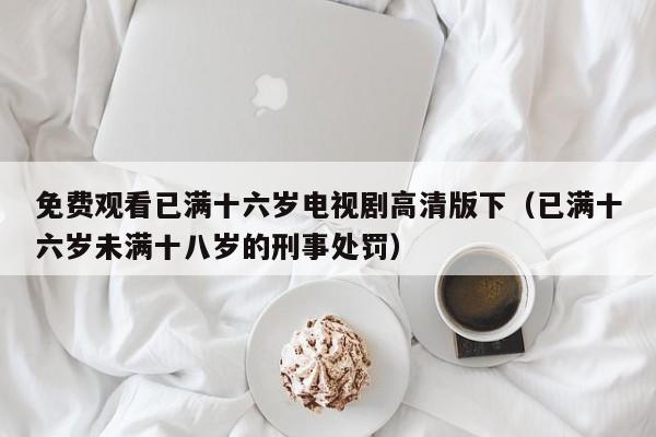 免费观看已满十六岁电视剧高清版下（已满十六岁未满十八岁的刑事处罚）