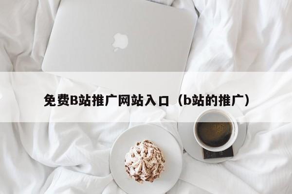 免费B站推广网站入口（b站的推广）