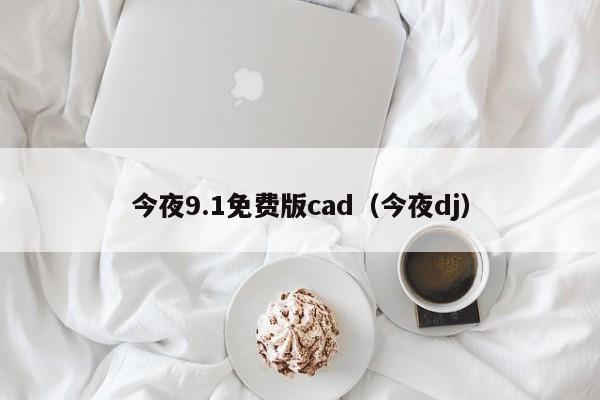 今夜9.1免费版cad（今夜dj）