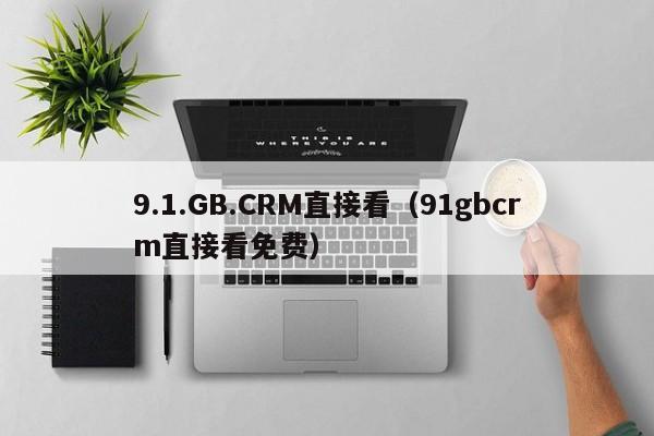 9.1.GB.CRM直接看（91gbcrm直接看免费）