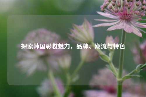 探索韩国彩妆魅力,品牌、潮流与特色