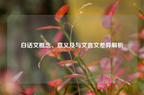 白话文概念、意义及与文言文差异解析