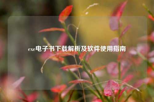 exe电子书下载解析及软件使用指南
