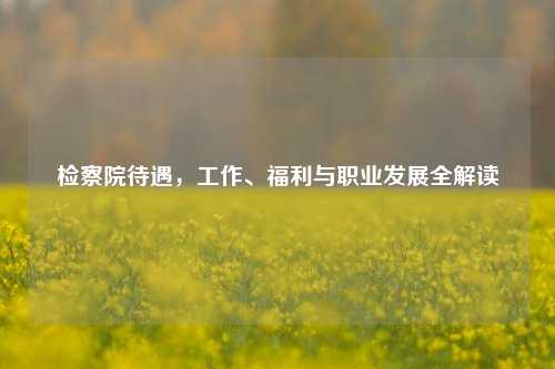 检察院待遇,工作、福利与职业发展全解读