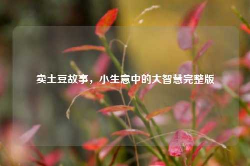 卖土豆故事,小生意中的大智慧完整版