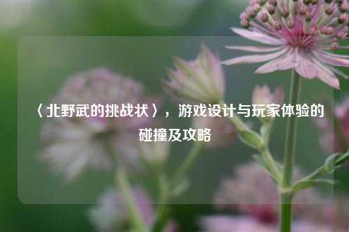 〈北野武的挑战状〉,游戏设计与玩家体验的碰撞及攻略