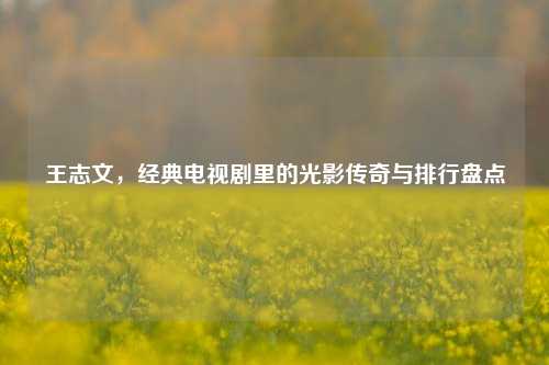 王志文,经典电视剧里的光影传奇与排行盘点