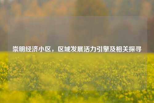 崇明经济小区,区域发展活力引擎及相关探寻
