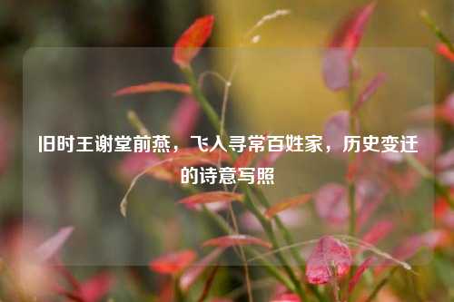 旧时王谢堂前燕,飞入寻常百姓家,历史变迁的诗意写照