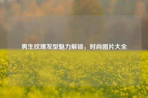 男生纹理发型魅力解锁,时尚图片大全