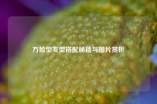 方脸型发型搭配秘籍与图片赏析