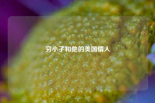 穷小子和他的美国情人