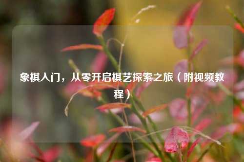 象棋入门,从零开启棋艺探索之旅(附视频教程)