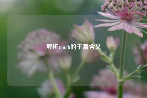 解析tough的丰富含义