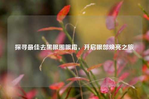 探寻更佳去黑眼圈眼霜,开启眼部焕亮之旅
