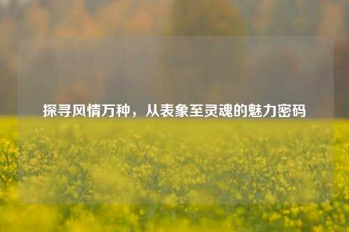 探寻风情万种,从表象至灵魂的魅力密码