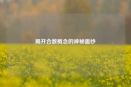 揭开合数概念的神秘面纱