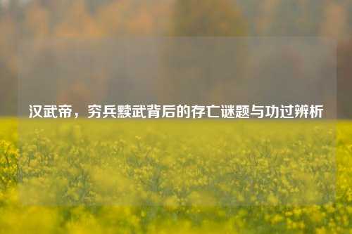 汉武帝,穷兵黩武背后的存亡谜题与功过辨析