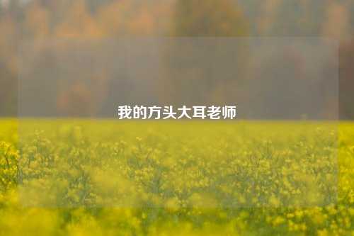 我的方头大耳老师