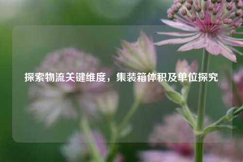 探索物流关键维度,集装箱体积及单位探究