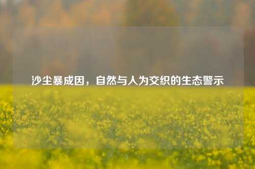 沙尘暴成因,自然与人为交织的生态警示