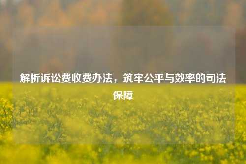 解析诉讼费收费办法，筑牢公平与效率的司法保障