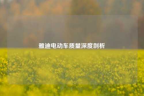 雅迪电动车质量深度剖析