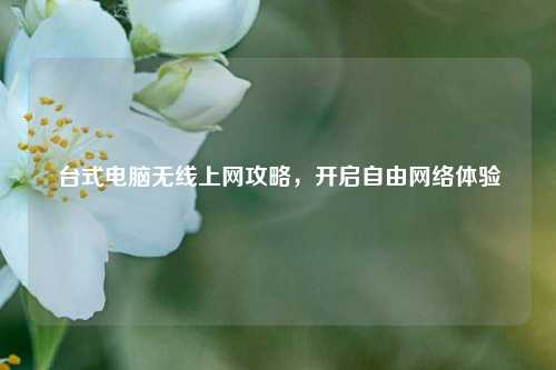 台式电脑无线上网攻略，开启自由     体验