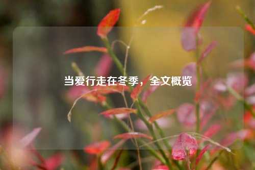 当爱行走在冬季,全文概览