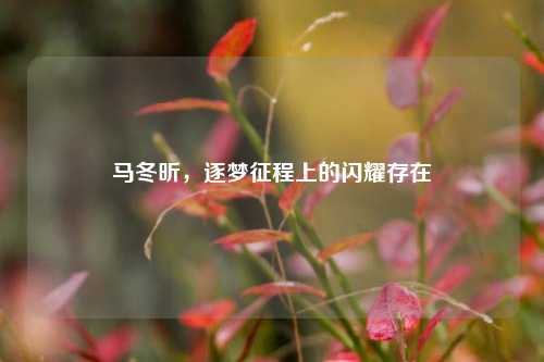 马冬昕，逐梦征程上的闪耀存在