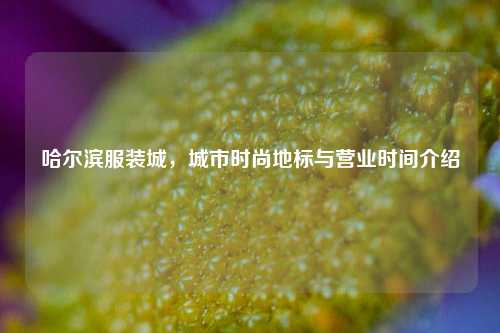 哈尔滨服装城，城市时尚地标与营业时间介绍