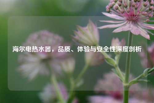 海尔电热水器，品质、体验与安全性深度剖析