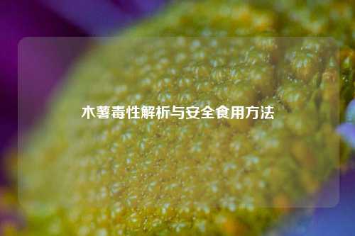 木薯毒性解析与安全食用     