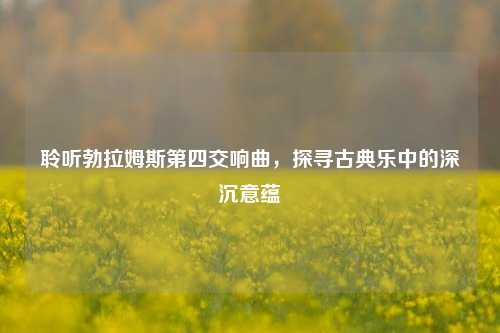 聆听勃拉姆斯第四交响曲，探寻古典乐中的深沉意蕴