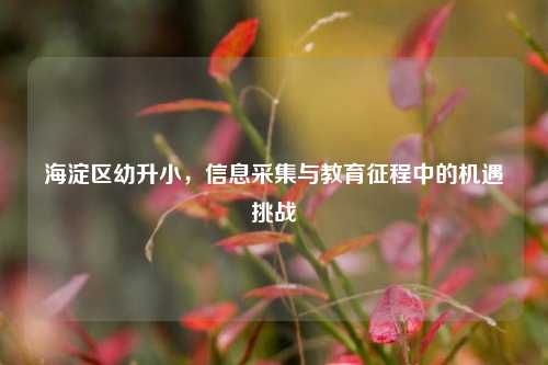 海淀区幼升小，信息采集与教育征程中的机遇挑战