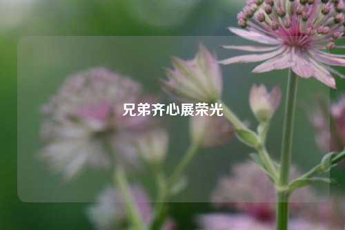 兄弟齐心展荣光