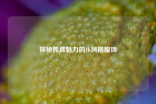 探秘独具魅力的JK风格服饰