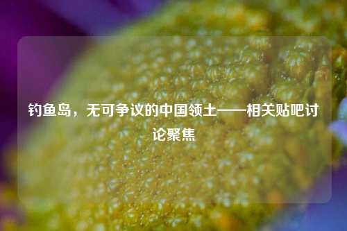      ，无可争议的中国领土——相关贴吧讨论聚焦
