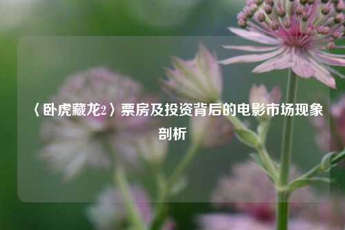 〈卧虎藏龙2〉票房及投资背后的电影市场现象剖析