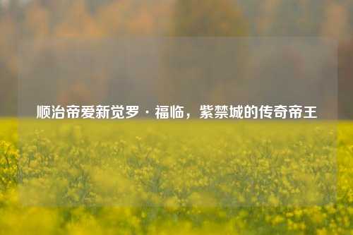 顺治帝爱新觉罗·福临，紫禁城的传奇帝王