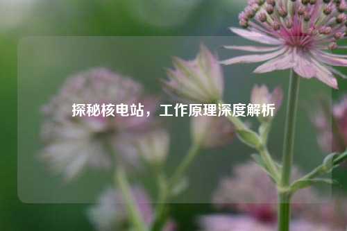 探秘核电站，工作原理深度解析